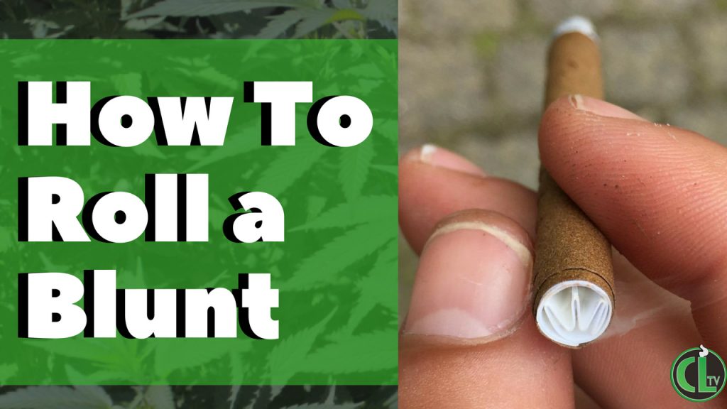 The Best Way to Roll up a Blunt (Video) Cannabis Lifestyle TV