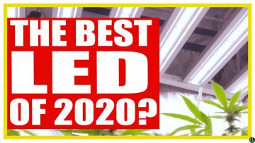 Best LED of 2020