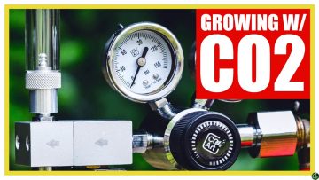 Adding CO2 to an Indoor Cannabis Grow Room to Increase Yields