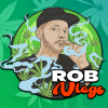 Rob Vlogs YT