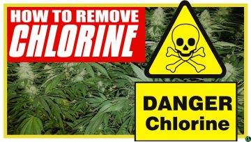 How to Remove of Chlorine in Water –