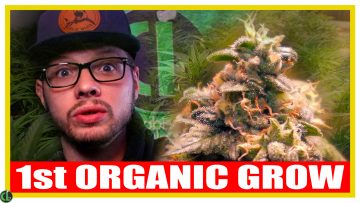 Headbanger SEED to HARVEST Organic Run – CLtv