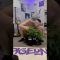 I’m a Home Grower, Of Course…