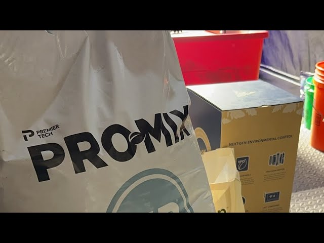 Preload Image