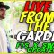 LIVE: Let’s Get CRAZY TERPS in the Final Weeks of Flower!