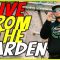 Plants Looking Rough in the Summer? Let’s Fix It Together – LIVE!