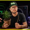 [ID: erVKXy364-c] Youtube Automatic
