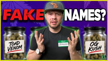 [ID: F_fnNoC9vZE] Youtube Automatic