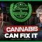 We’ve Been Wrong About Weed This Whole Time | Todd McCormick | Stoned & Successful Ep. 2